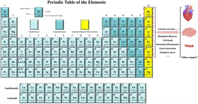 Noble Gases Therapy in Cardiocerebrovascular Diseases: The Novel Stars?